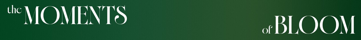 Everbest | The Moment Of Blooms